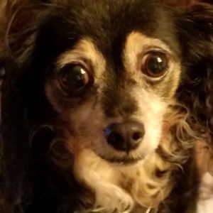 Meet your Posher, Lana